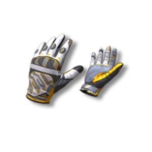 Gloves "Champion"